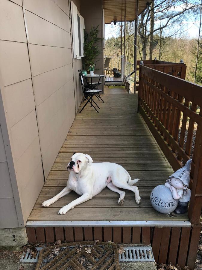 Chalet Maaike Durbuy Zewnętrze zdjęcie